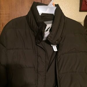 Winter Jacket